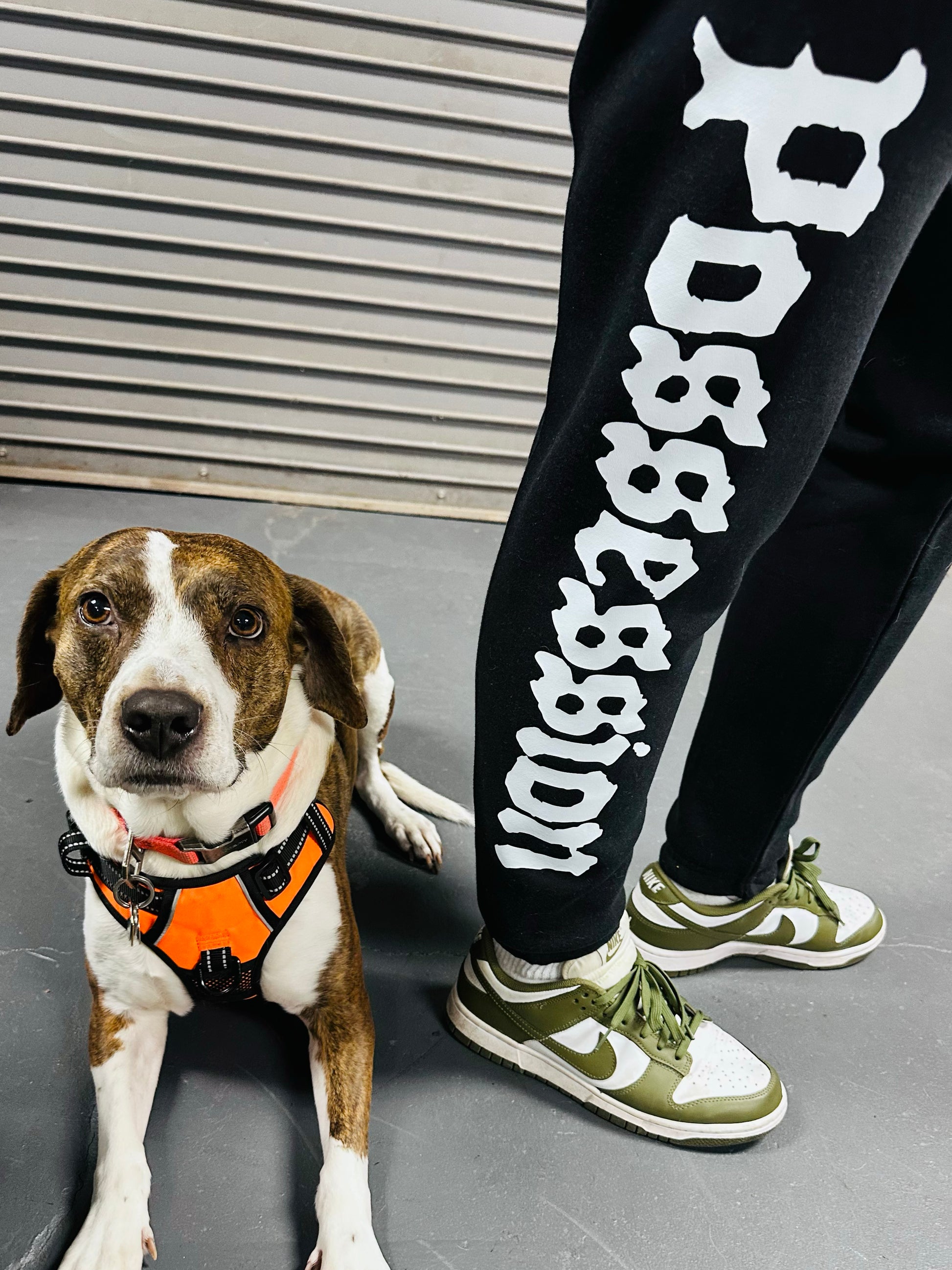 Dog wearing an orange harness sitting next to a person wearing black sweatpants with 'POSSESSION' text.